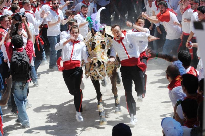 Caballos del vino Caravaca