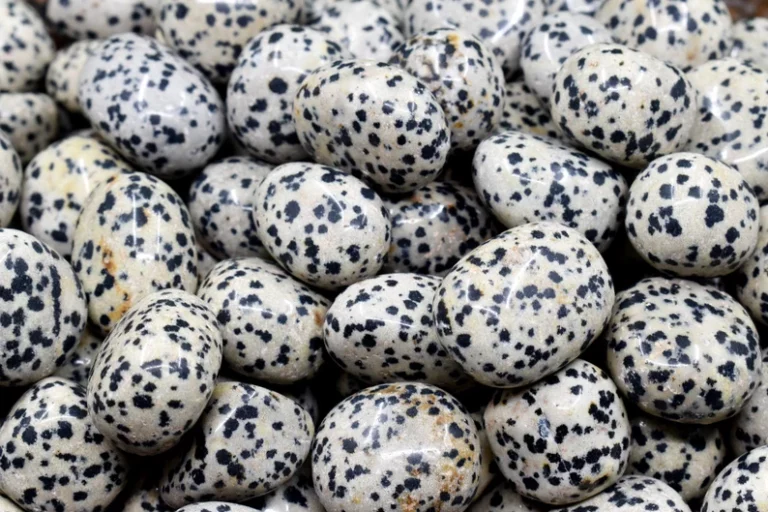 Dalmatian Jasper Tumbled Stones